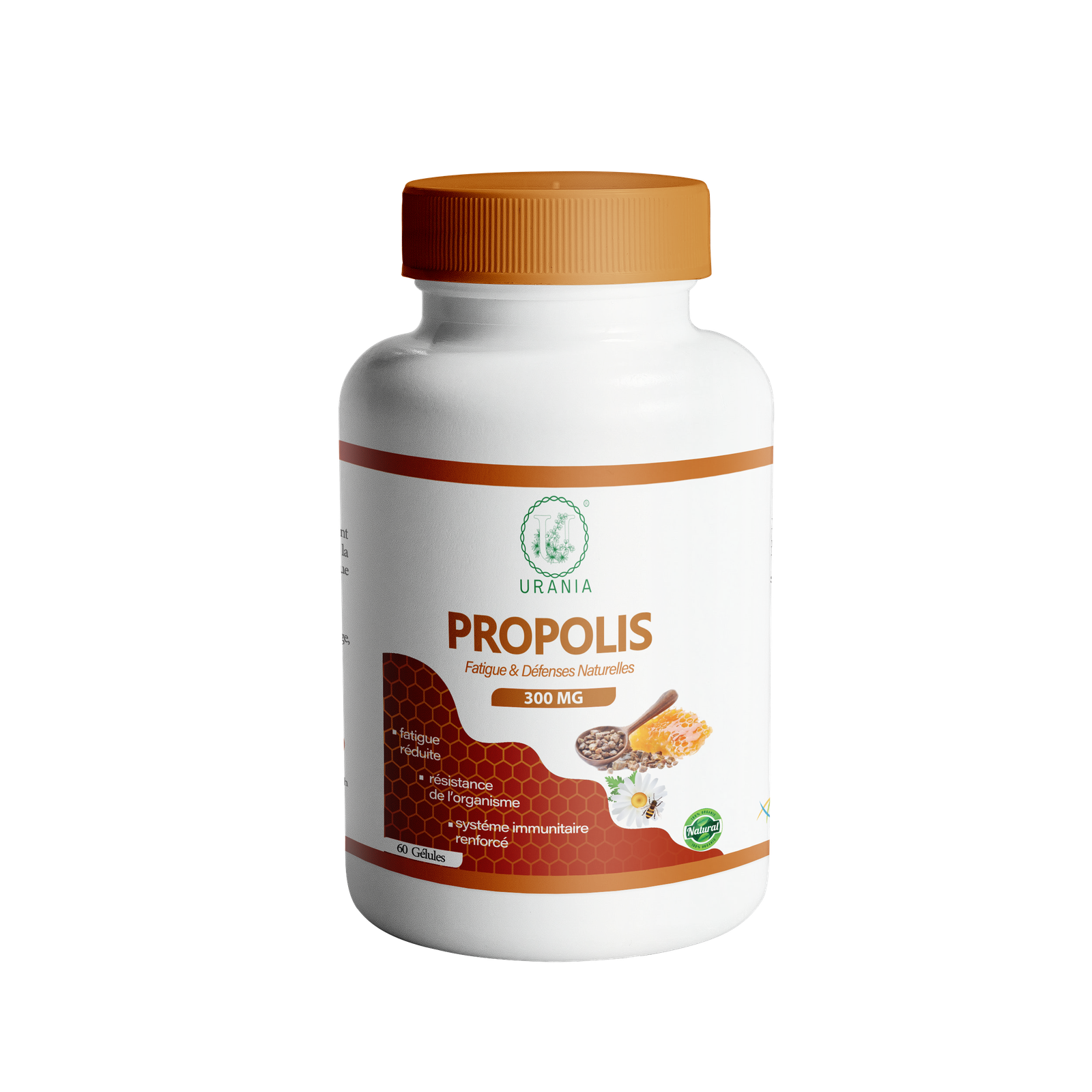 propolise (1)